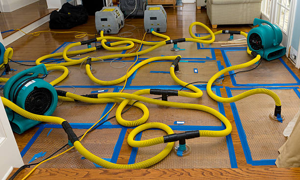 Professional Basement Flood Cleanup technician working in Drexel, MO